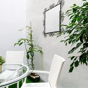 Apartamento Con Terraza En El Centro Histórico Apartamento